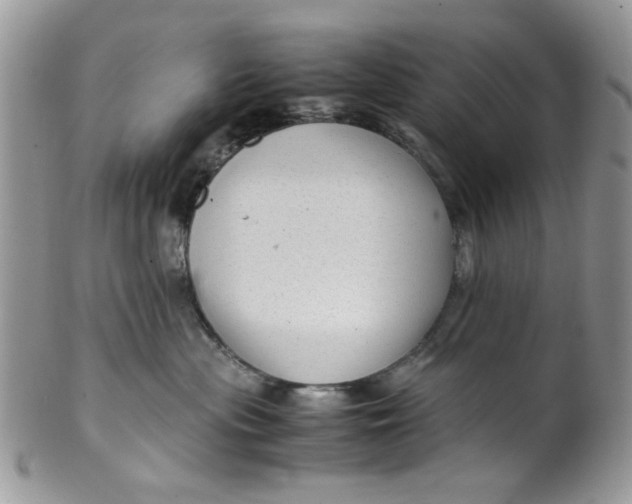 X0000099490477200806051103