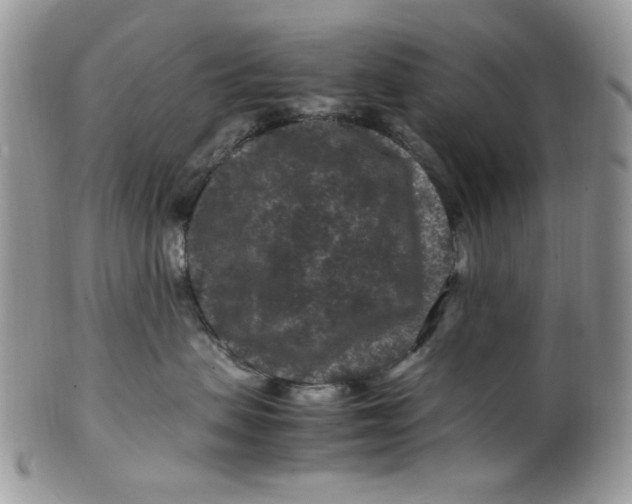 X0000099490479200806051103