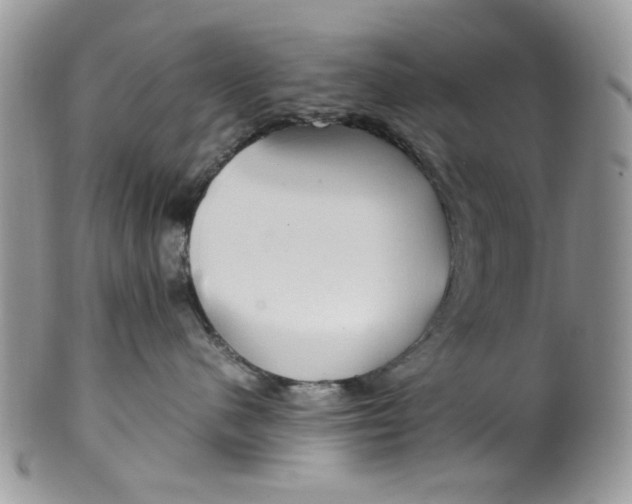 X0000099490480200806051103