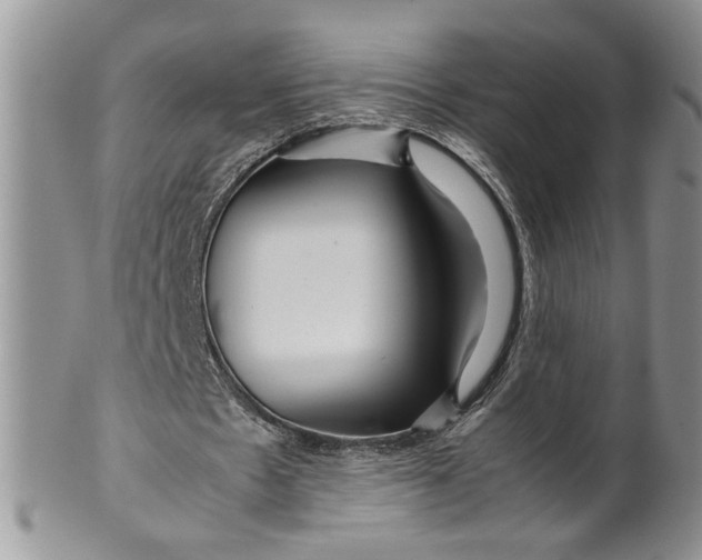 X0000099490481200806051102