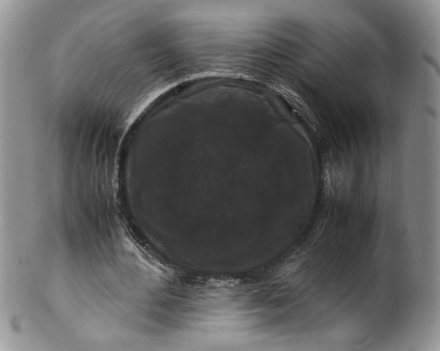 X0000099490484200806051102