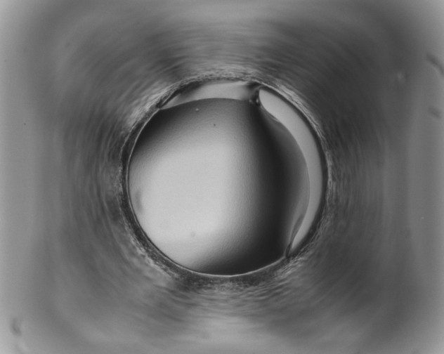 X0000099490485200806051102