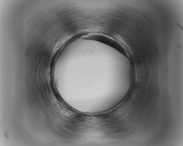 X0000099490486200806051102