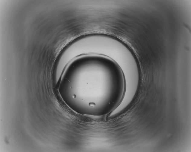 X0000099490487200806051102