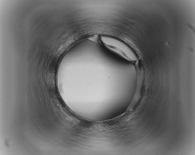 X0000099490489200806051102