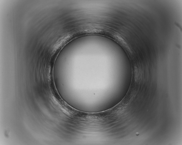 X0000099490490200806051102