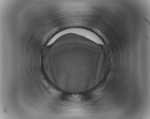 X0000099490493200806051102