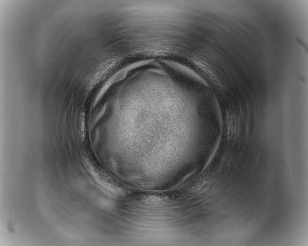 X0000099490494200806051102