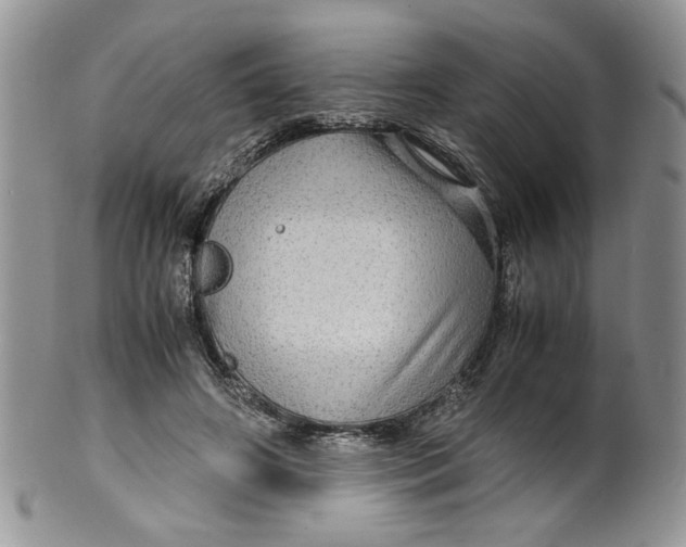 X0000099490498200806051102