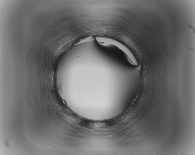 X0000099490501200806051102