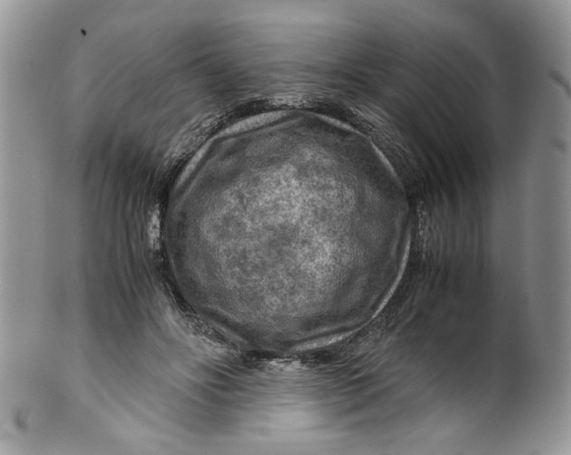 X0000099490502200806051102