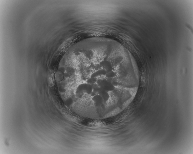 X0000099490503200806051102