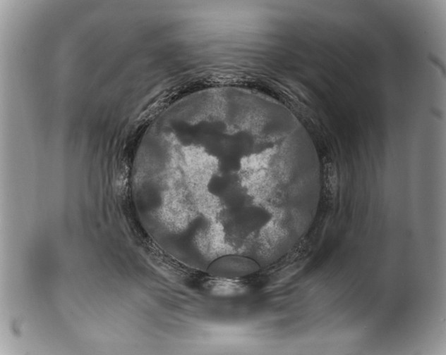 X0000099490507200806051102