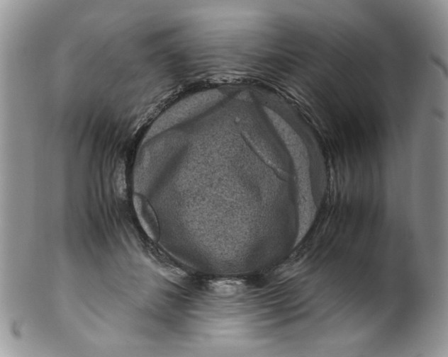 X0000099490508200806051102