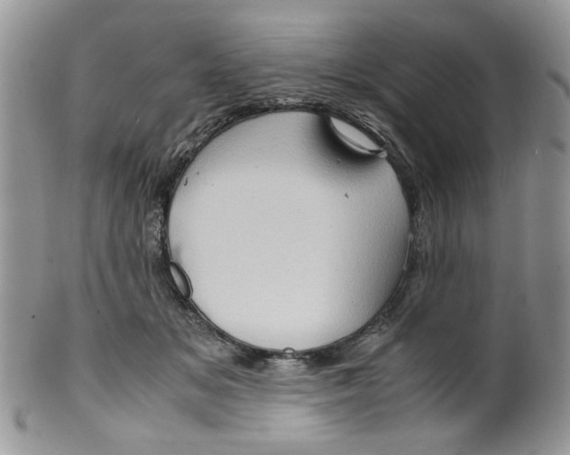 X0000099490509200806051102