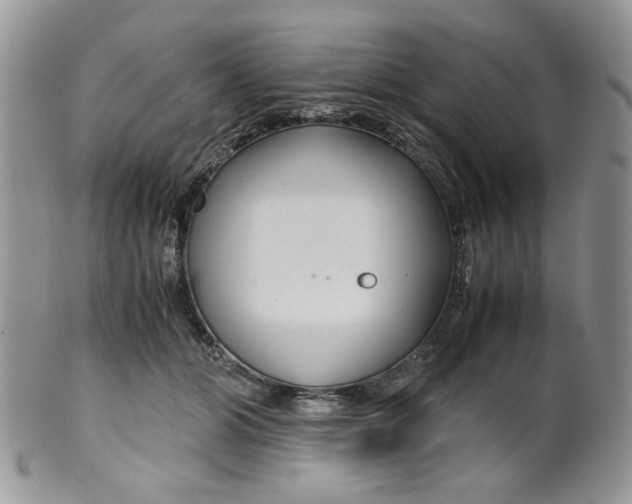 X0000099490510200806051102