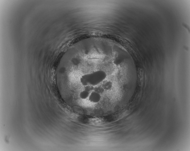 X0000099490511200806051102