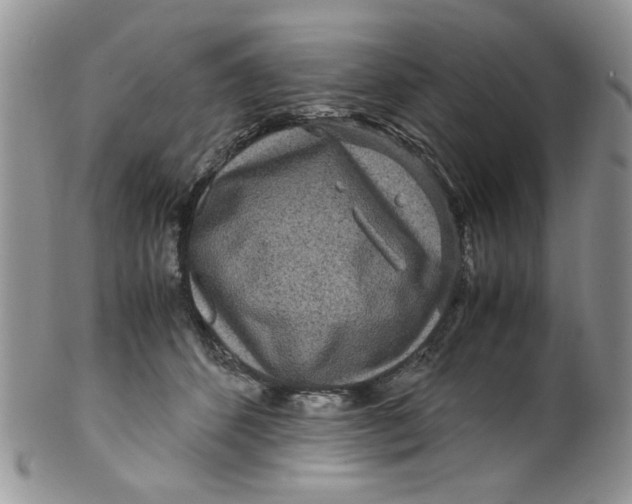 X0000099490512200806051102