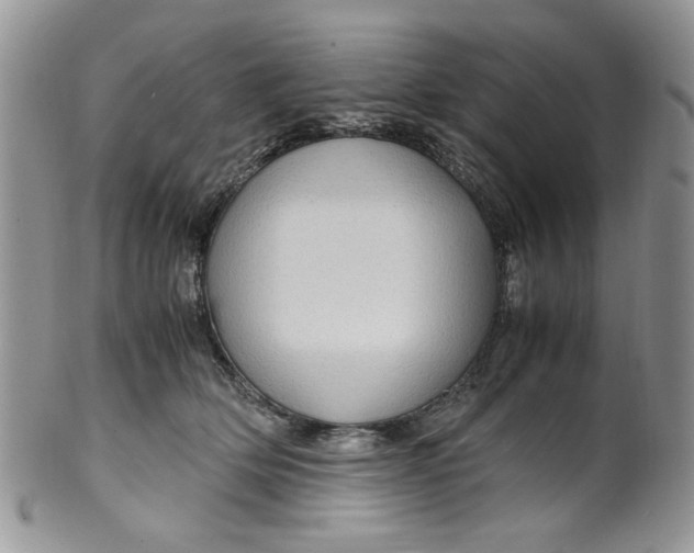 X0000099490514200806051102