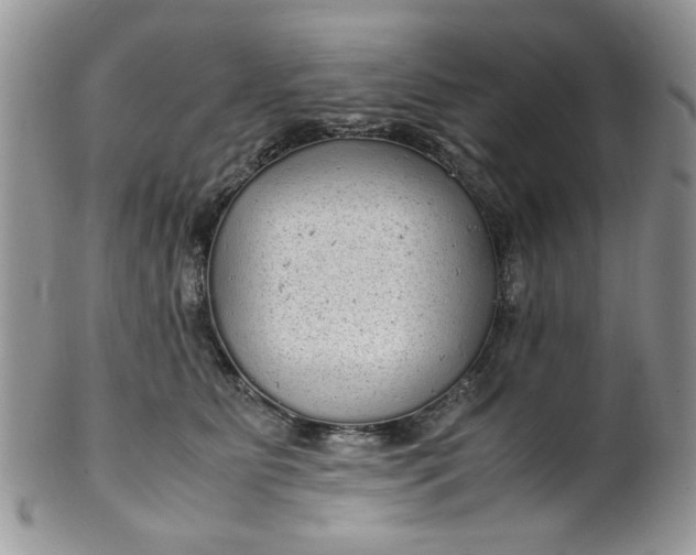 X0000099490515200806051102