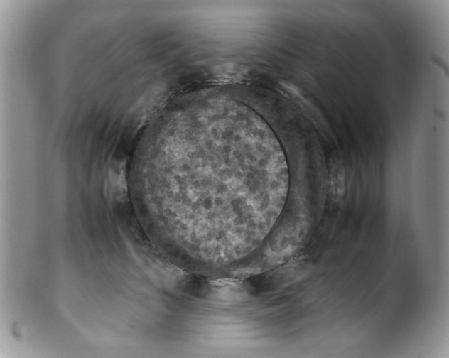 X0000099490516200806051102