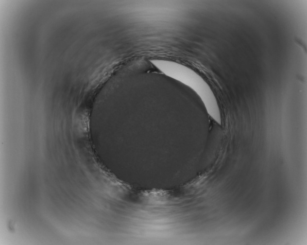 X0000099490517200806051102