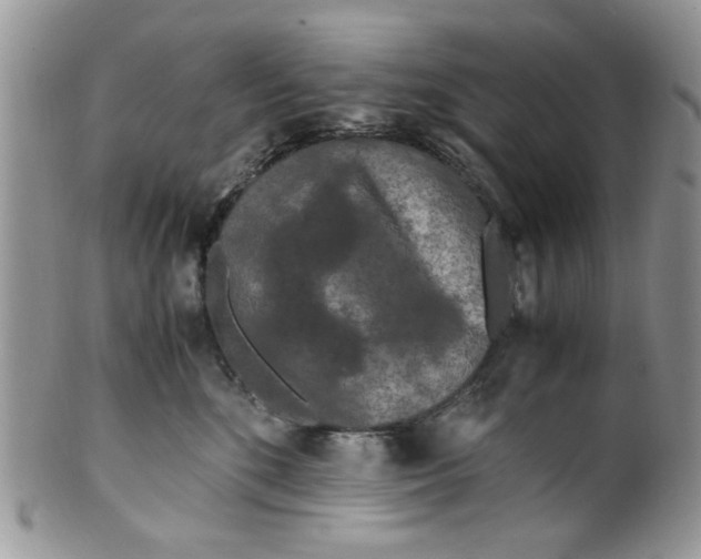 X0000099490520200806051101