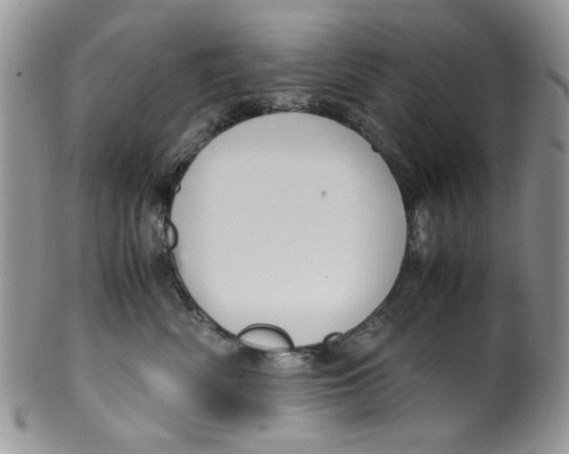 X0000099490522200806051101