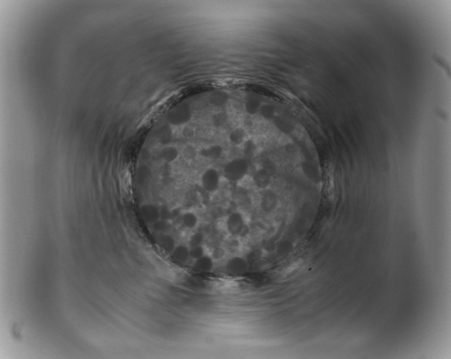 X0000099490523200806051101