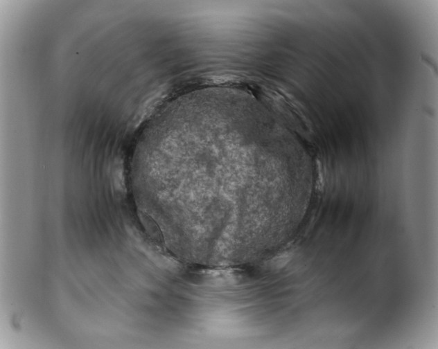 X0000099490524200806051101