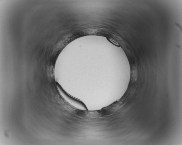 X0000099490525200806051101