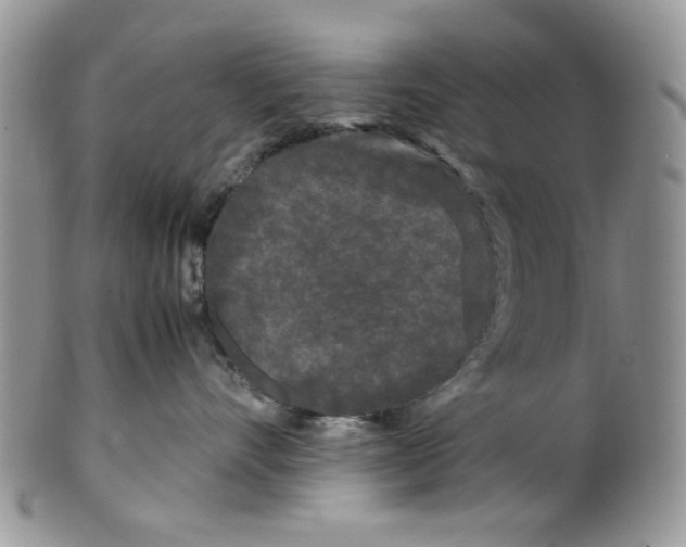 X0000099490528200806051101