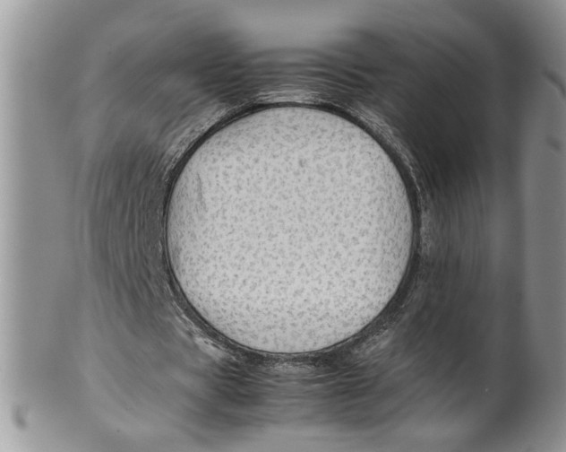 X0000099490529200806051101