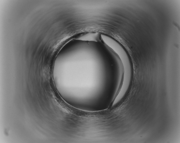 X0000099490530200806051101