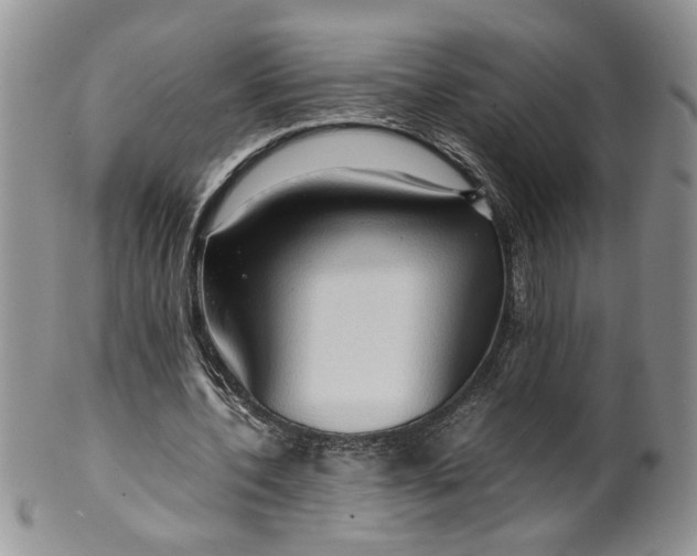 X0000099490532200806051101