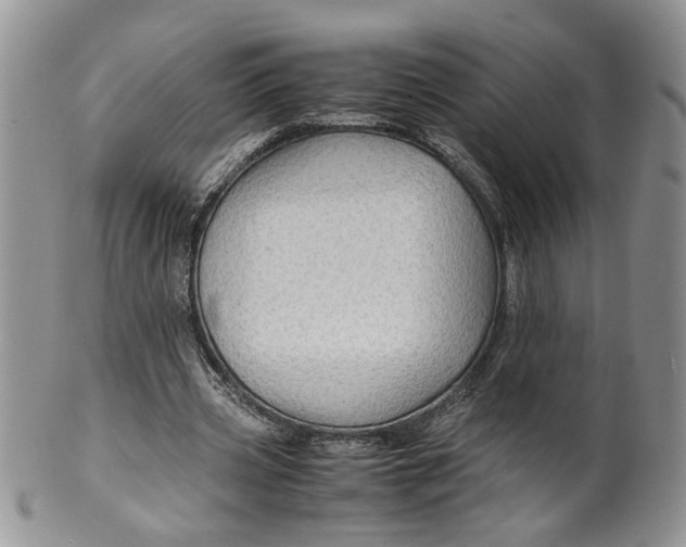 X0000099490533200806051101