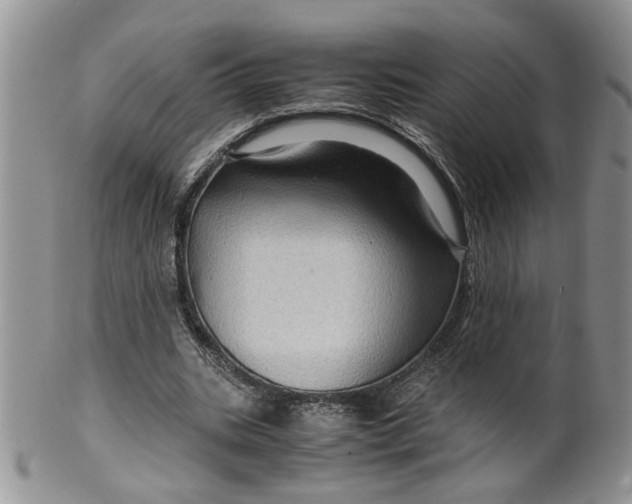 X0000099490535200806051101