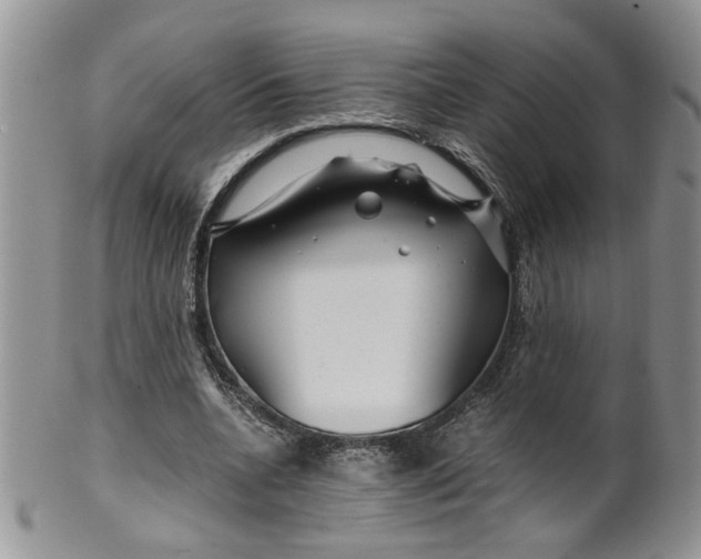 X0000099490536200806051101