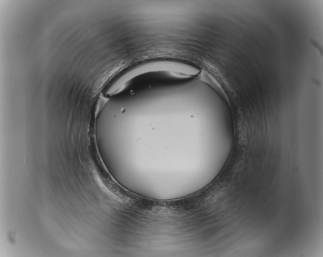 X0000099490538200806051101