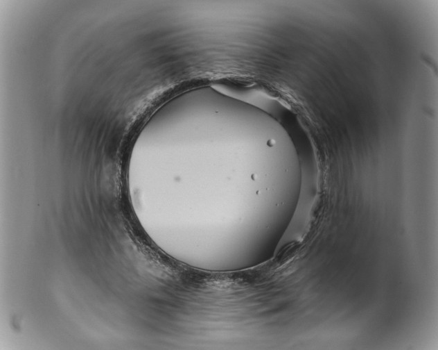 X0000099490540200806051101