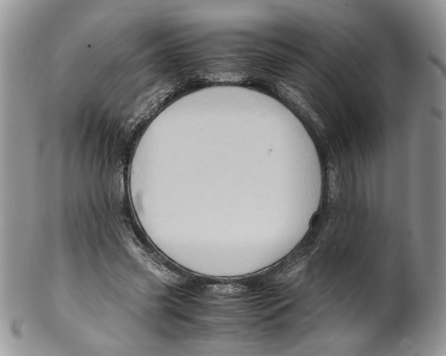 X0000099490541200806051101