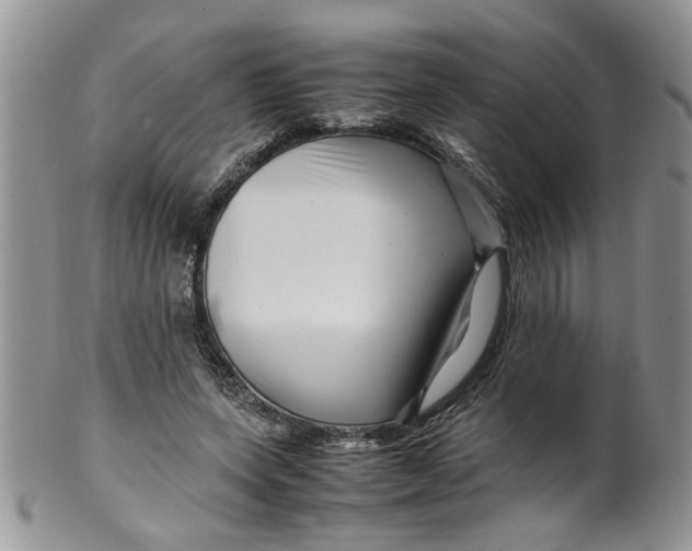 X0000099490543200806051101