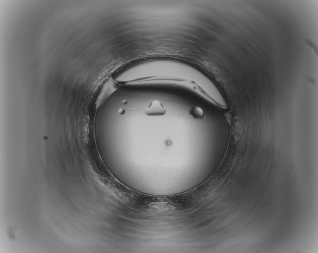 X0000099490544200806051101