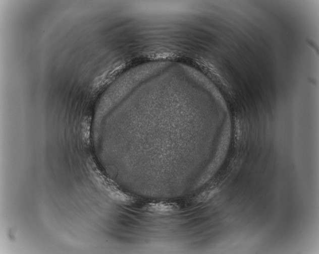 X0000099490545200806051101