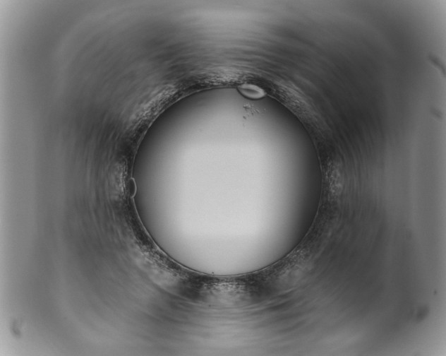 X0000099490546200806051101