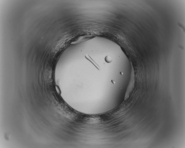 X0000099490548200806051101