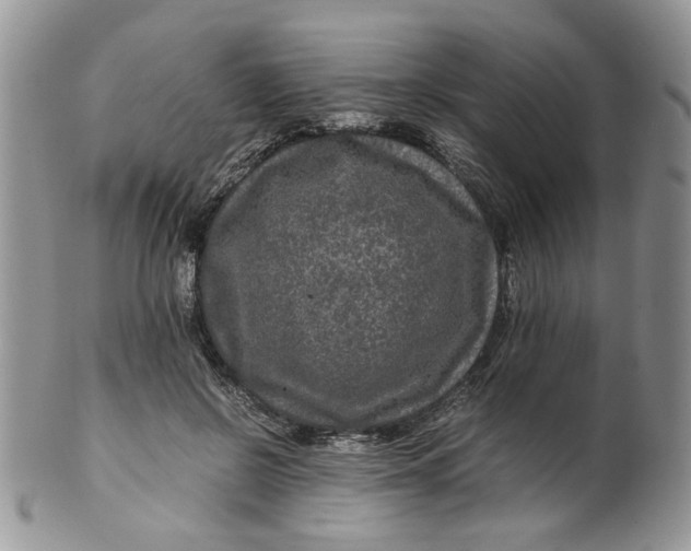 X0000099490550200806051101