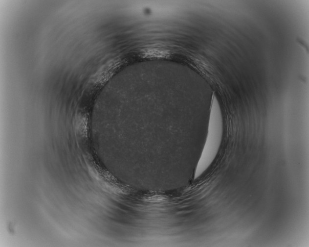 X0000099490551200806051101