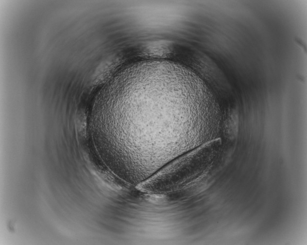 X0000099490552200806051101