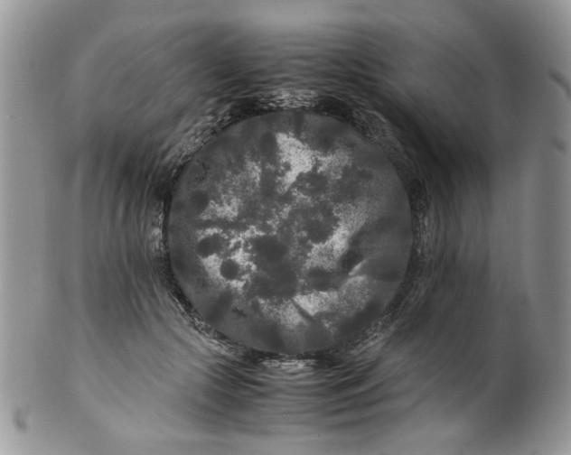 X0000099490553200806051101